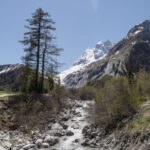 La Reuse de l'A Neuve et le Mont Dolent, La Fouly, Val Ferret, Suisse